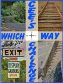 cees which way challenge